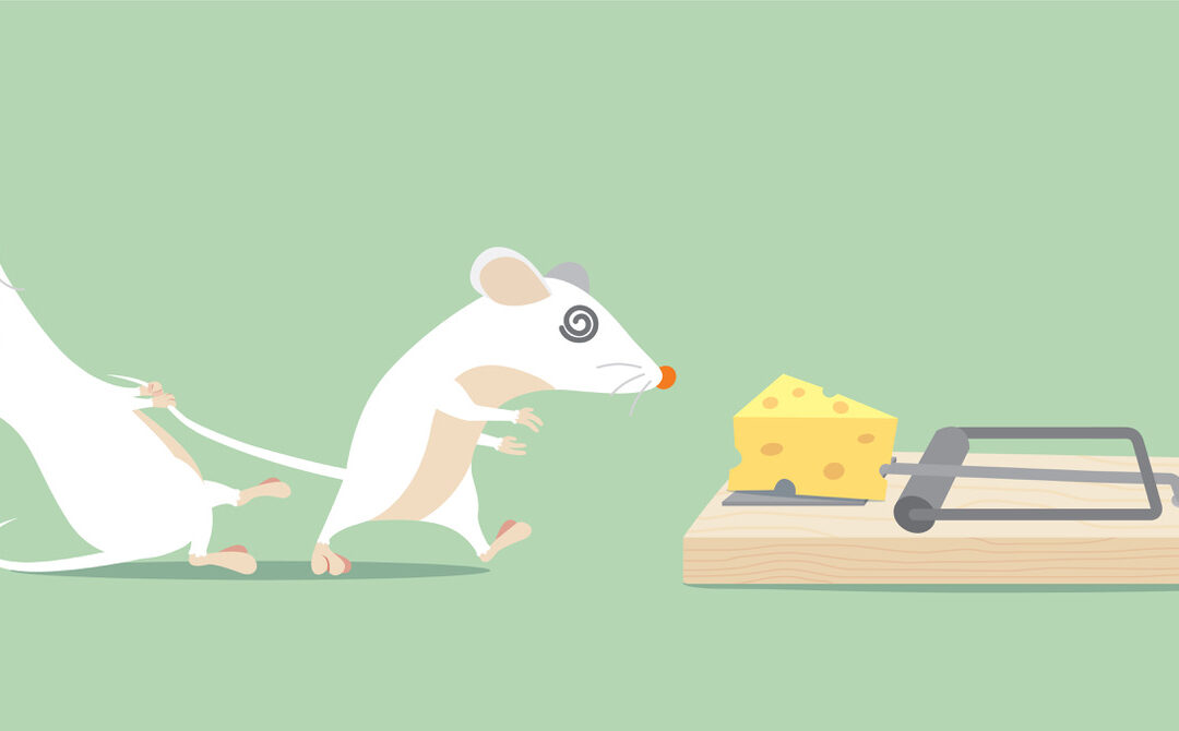 The Content Creator Wars: How to Win in a Game of Mousetrap
