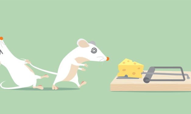 The Content Creator Wars: How to Win in a Game of Mousetrap