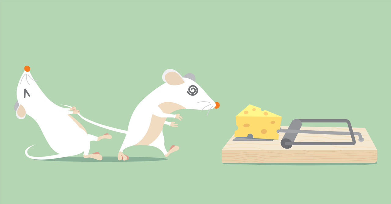 The Content Creator Wars: How to Win in a Game of Mousetrap