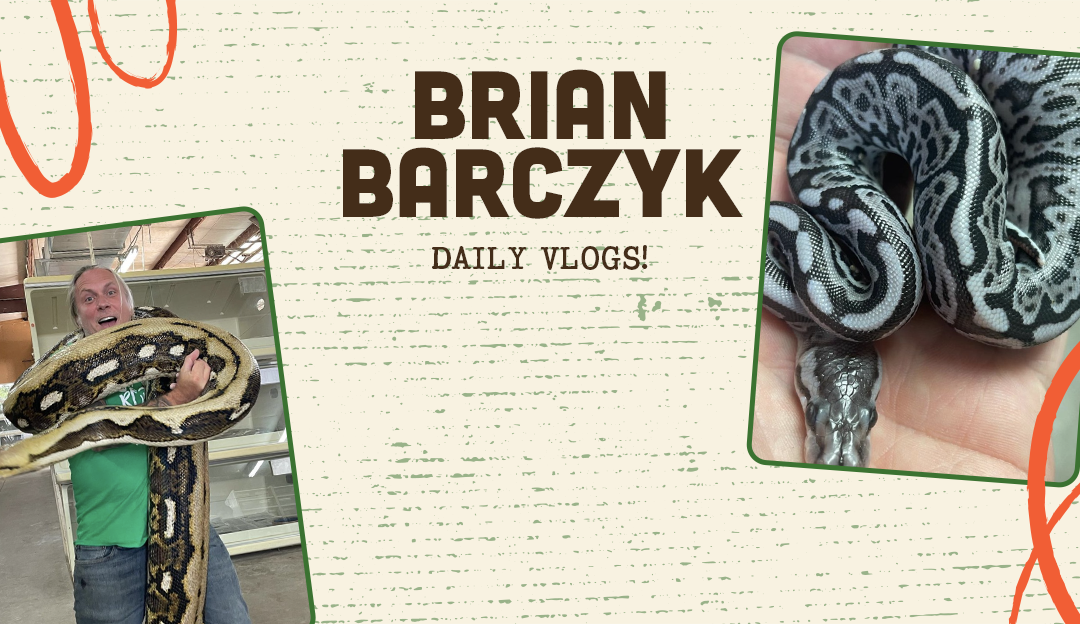 Brian Barczyk’s Reptile Content Helps Him Stands Out on YouTube