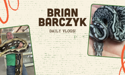 Brian Barczyk’s Reptile Content Helps Him Stands Out on YouTube