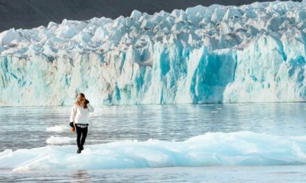 Visual Creator Cecilia Blomdahl Shares Daily Life from Northernmost Town in World