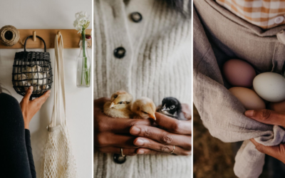 Alyson Morgan Crafts Sustainable Living Content and Creates Brand Sponsorships