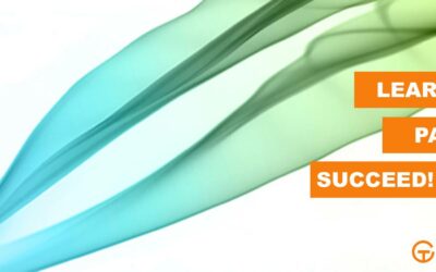 Mastery of SEO Helps Creator Dave Evangelisti Draws Millions to Test-Guide Site