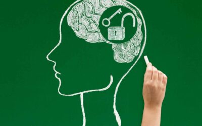 Sharpen Your Creator Mind With These Recommended Books, Videos, Playlist, and More