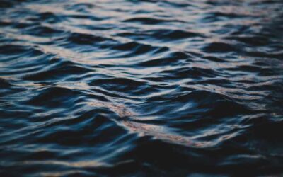 The Hidden Way Content Creators Differentiate In A Sea Of Sameness