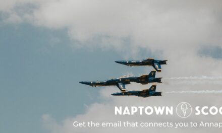 Ryan Sneddon newsletter Naptown Scoop facebook cover photo with Annapolis jets flying