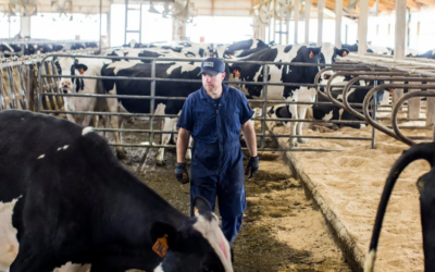 Bovine Podiatrist Nate Ranallo Expands Into Content Business as Nate the Hoof Guy