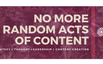 Erika Heald Knows How To Juggle Multiple Content Businesses